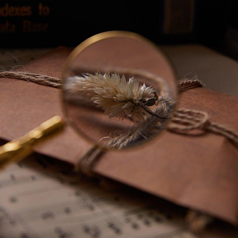 Small Magnifying Glass, with Handle, Feather