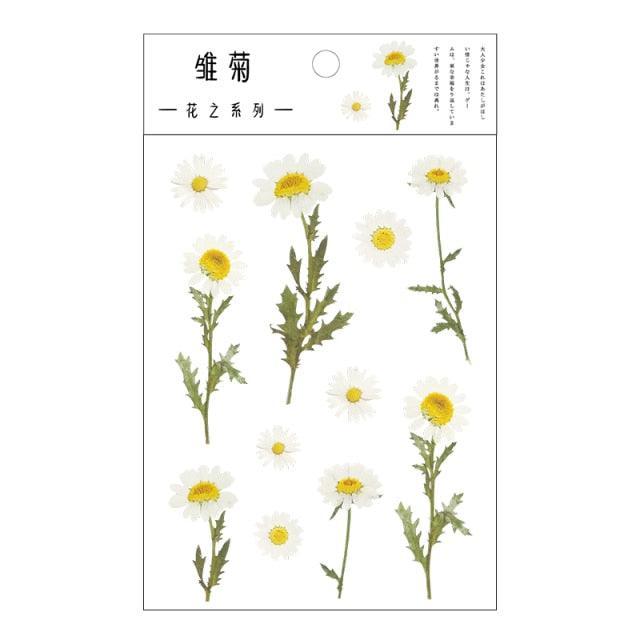 Transparent Stickers Flowers - Daisy - PaperWrld