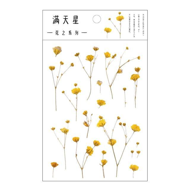 Transparent Stickers Flowers - Gypsophila - PaperWrld