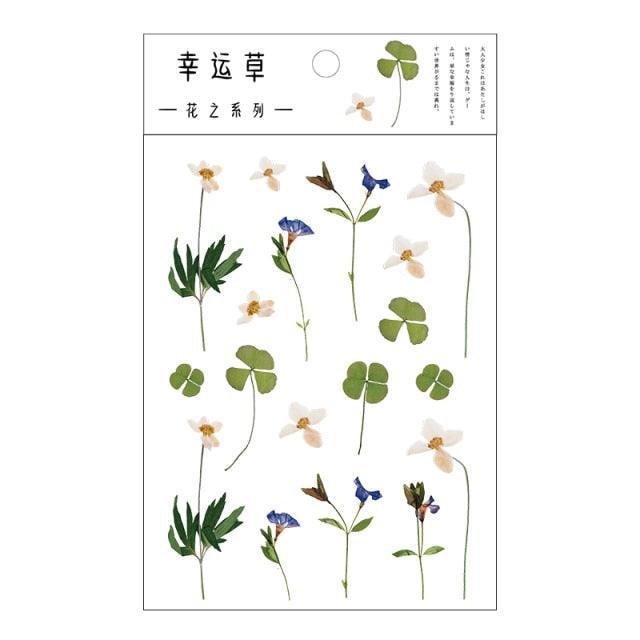 Transparent Stickers Flowers - Clover - PaperWrld