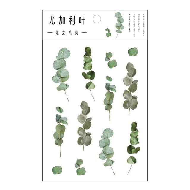 Transparent Stickers Flowers - Eucalyptus - PaperWrld